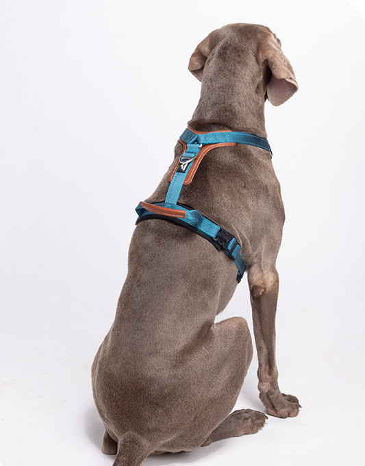 premium no pull dog harness with leather handle