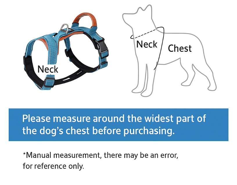 Dog harness measurement guide with a blue border and text instructions.