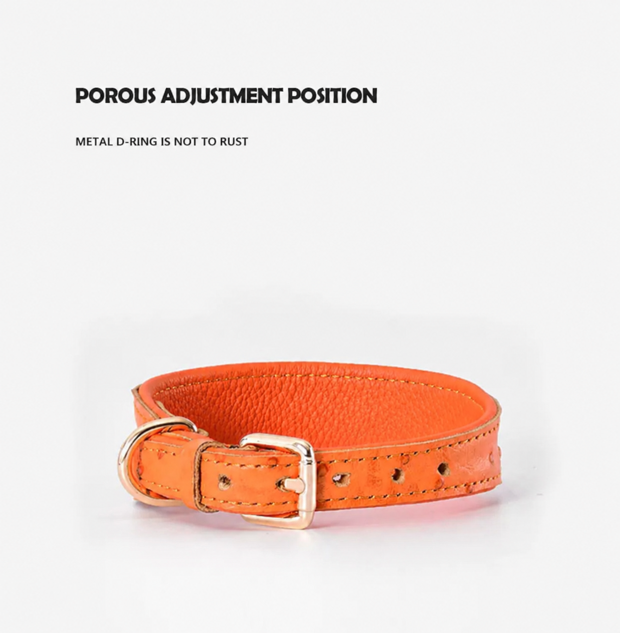 Heritage Leather Collar-Premium Wide Comfort Dog Collar