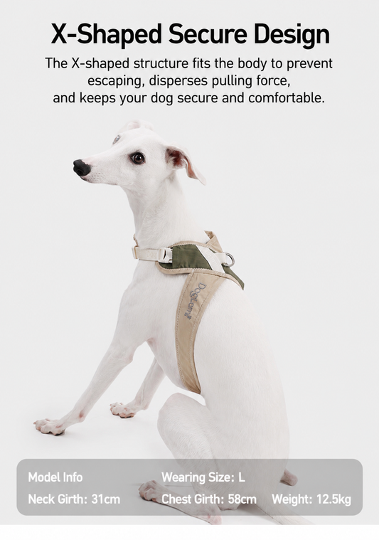 Explorer Lite Harness-Lightweight Waterproof No Pull Dog Harness
