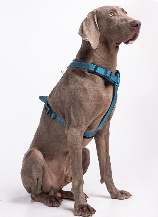 reflective no pull dog harness for large dogs