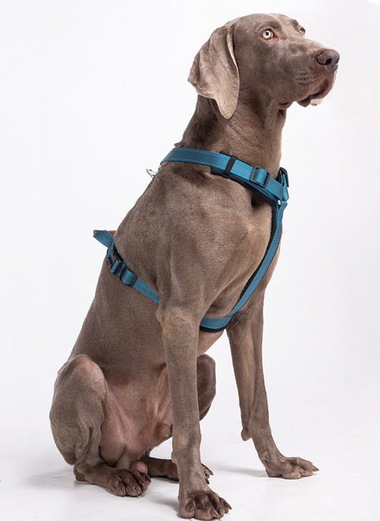 reflective no pull dog harness for large dogs