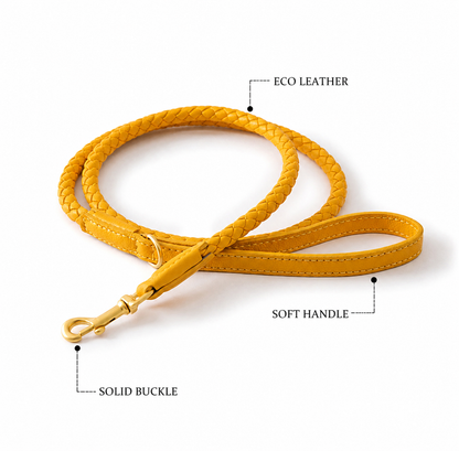 Vintage Leash-Classic Braided Dog Leash