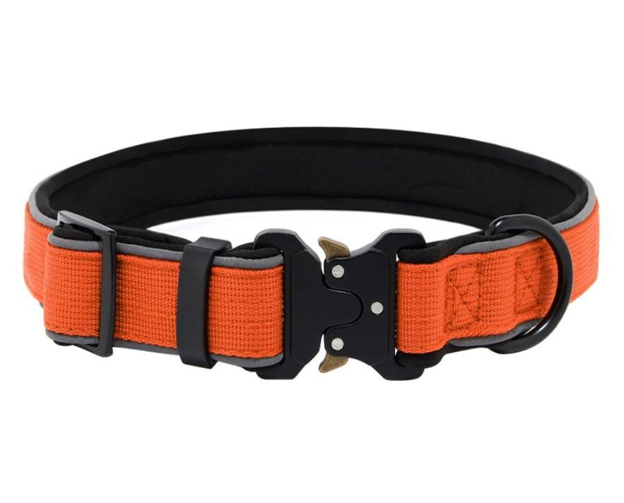 Orange reflective waterproof dog collar