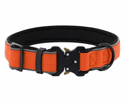 Orange reflective waterproof dog collar