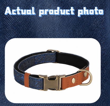Urban Denim Collar-Comfortable Padded Dog Collar