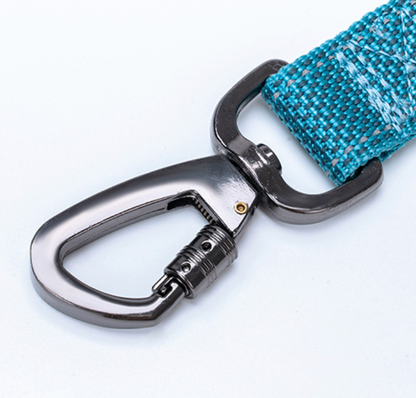 metal carabiner on a dog leash