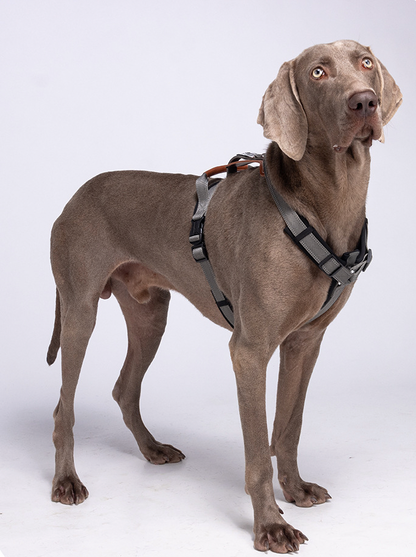 grey reflective no pull dog harness for large dogs