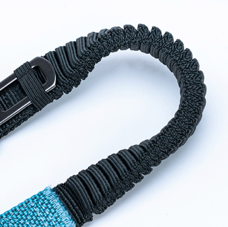 shock absorbing dog leash with bungee section