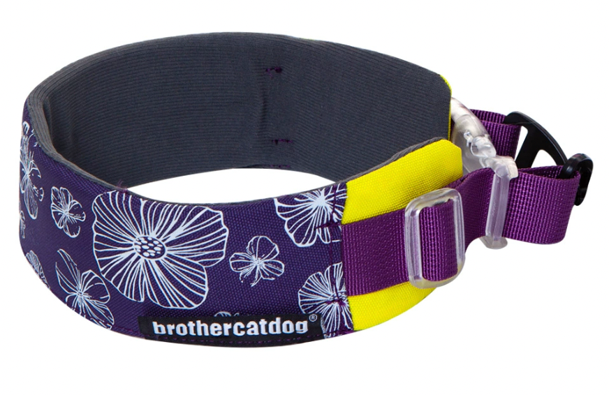 purple soft everyday dog collar with quick release buckle