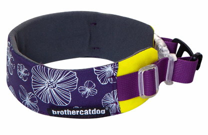 purple soft everyday dog collar with quick release buckle