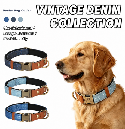 Urban Denim Collar-Comfortable Padded Dog Collar