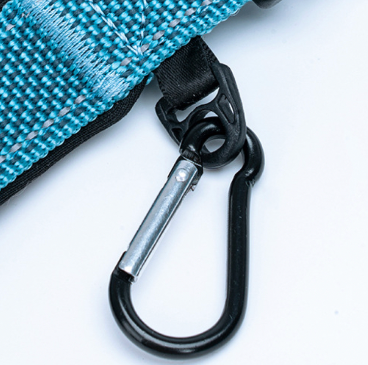 bungee dog leash with adjustable length