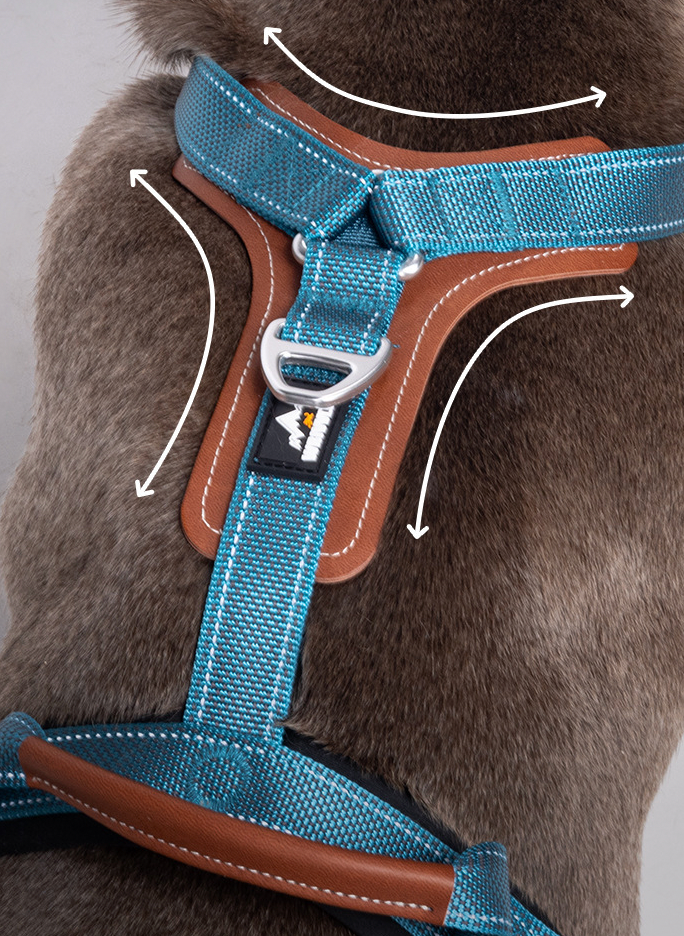adjustable dog harness with front and back attachment points