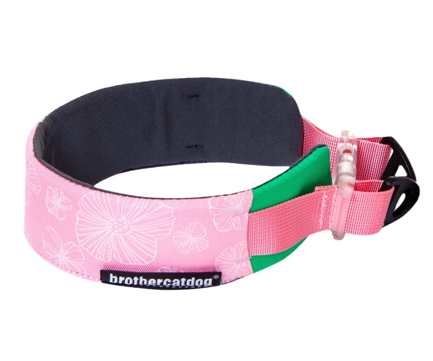 pink soft padded everyday dog collar 