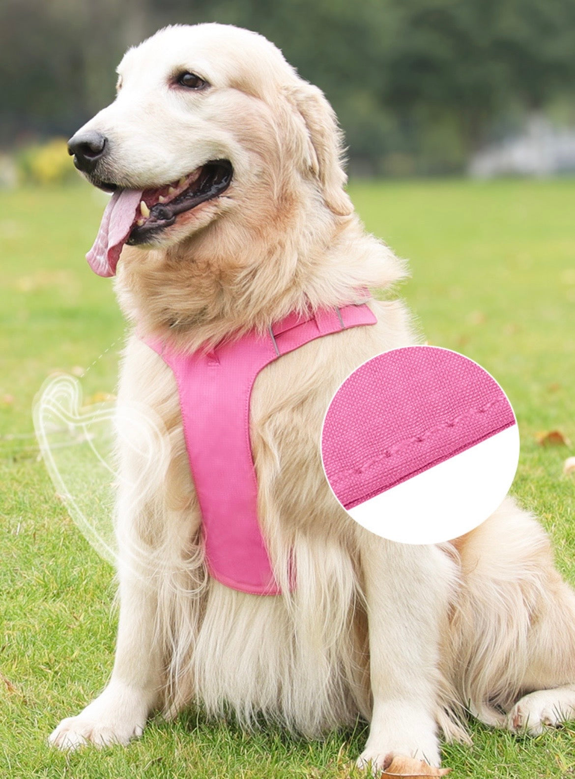 adjustable outdoor dog harness with top handle