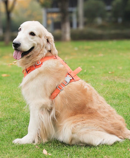 breathable waterproof dog harness with reflective details