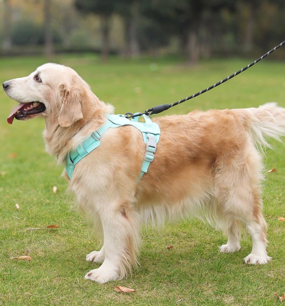 breeze harness waterproof dog harness features