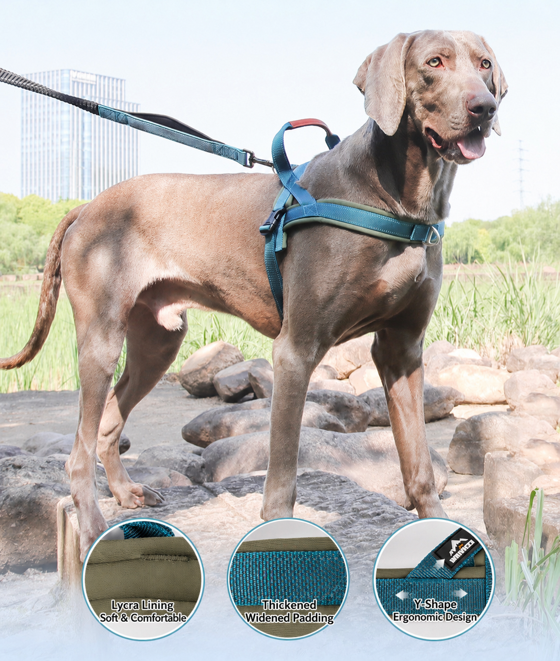 adjustable dog harness with leather handle features