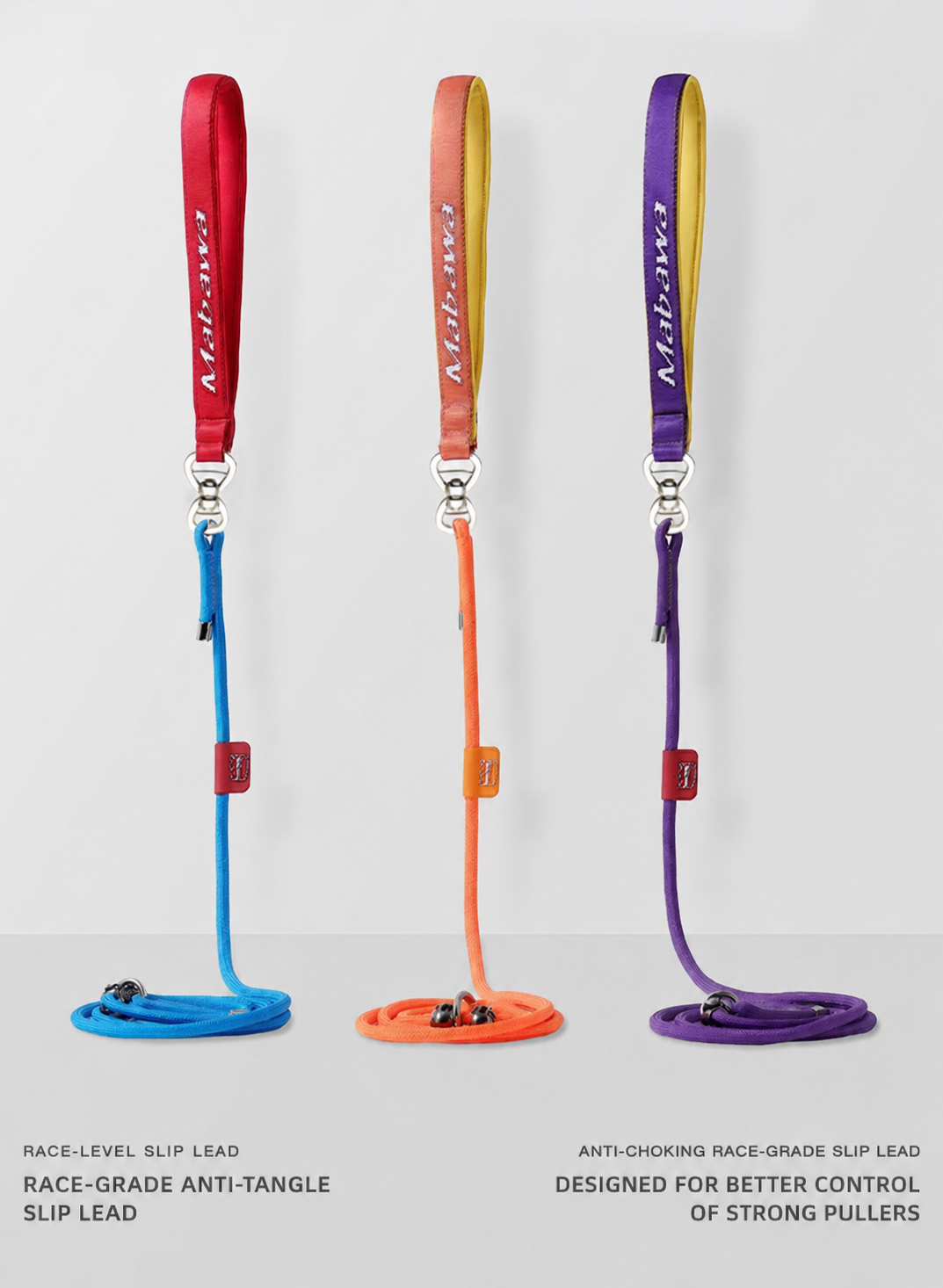 professional dog slip lead for training