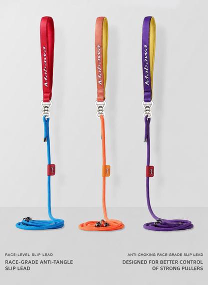 professional dog slip lead for training