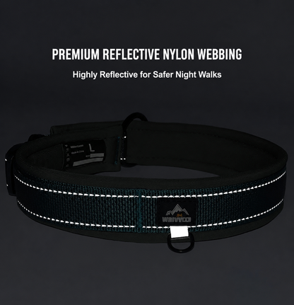 Reflective dog collar for safer night walks
