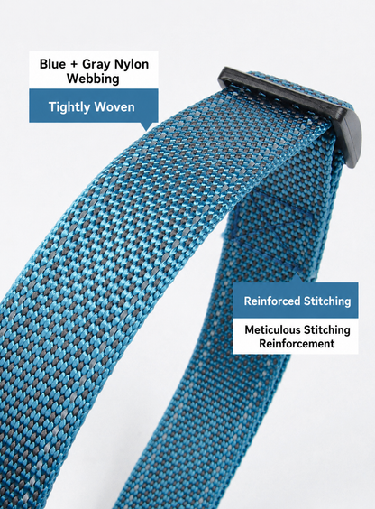  nylon webbing with reinforced stitching dog collar