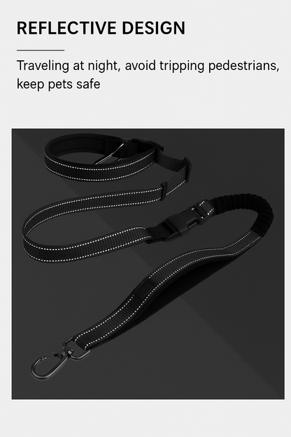  reflective design on a Black dog leash