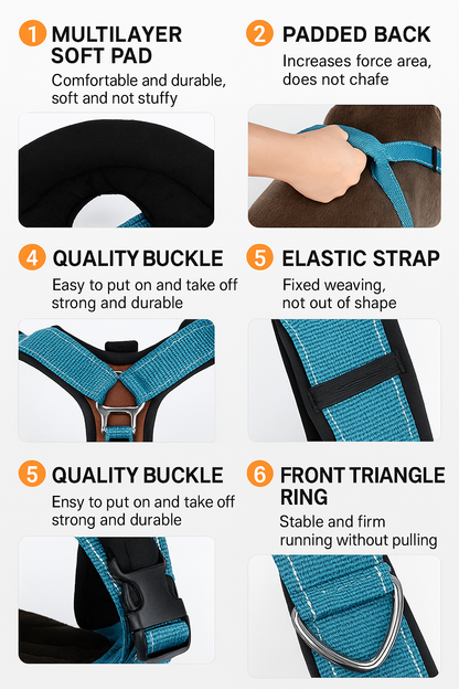 Features of a dog harness