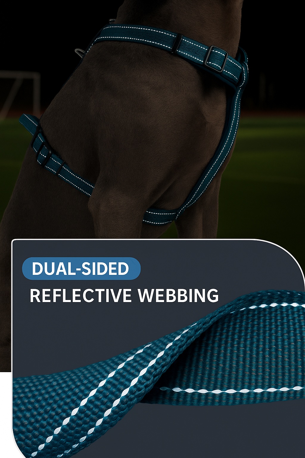 Dual-Sided Reflective Webbing dog harness