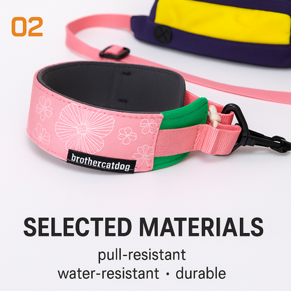 pull resistant water-resistant and durable dog collar
