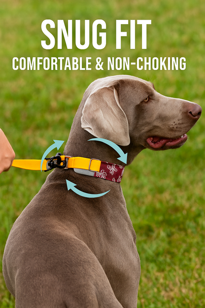 Snug Fit, Comfortable & Non-Choking dog collar