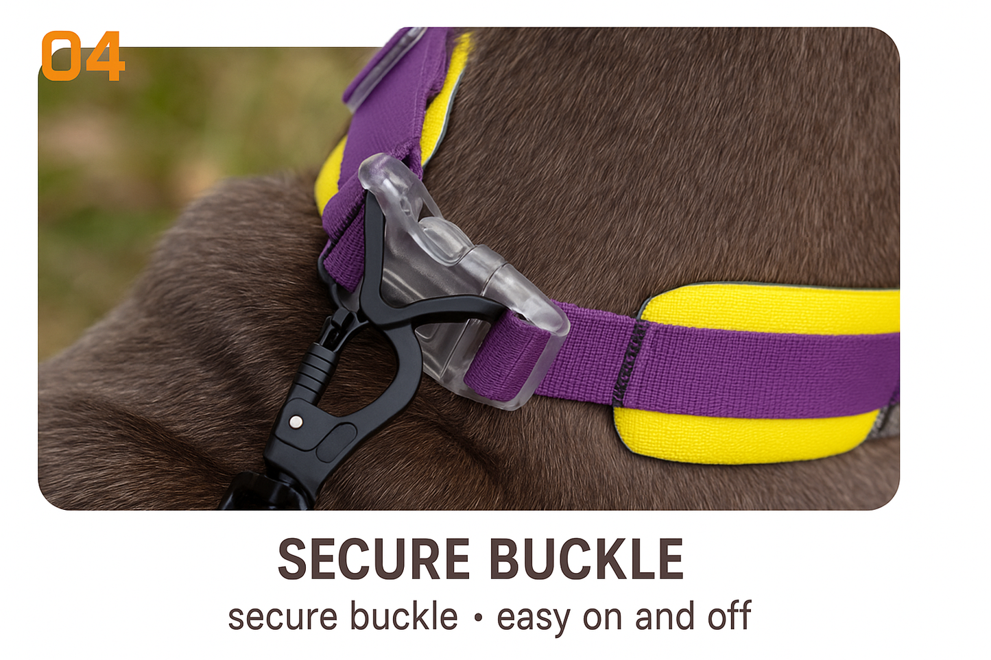 a secure buckle on a dog collar