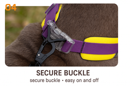 a secure buckle on a dog collar