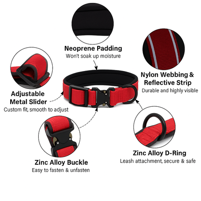 waterproof padded dog collar with features highlighted 