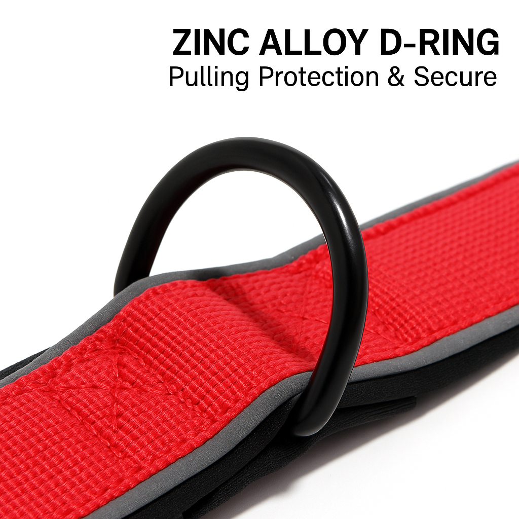 zinc alloy D-ring dog collar