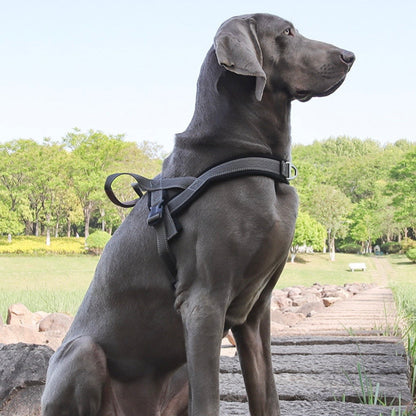 comfortable y shape dog harness