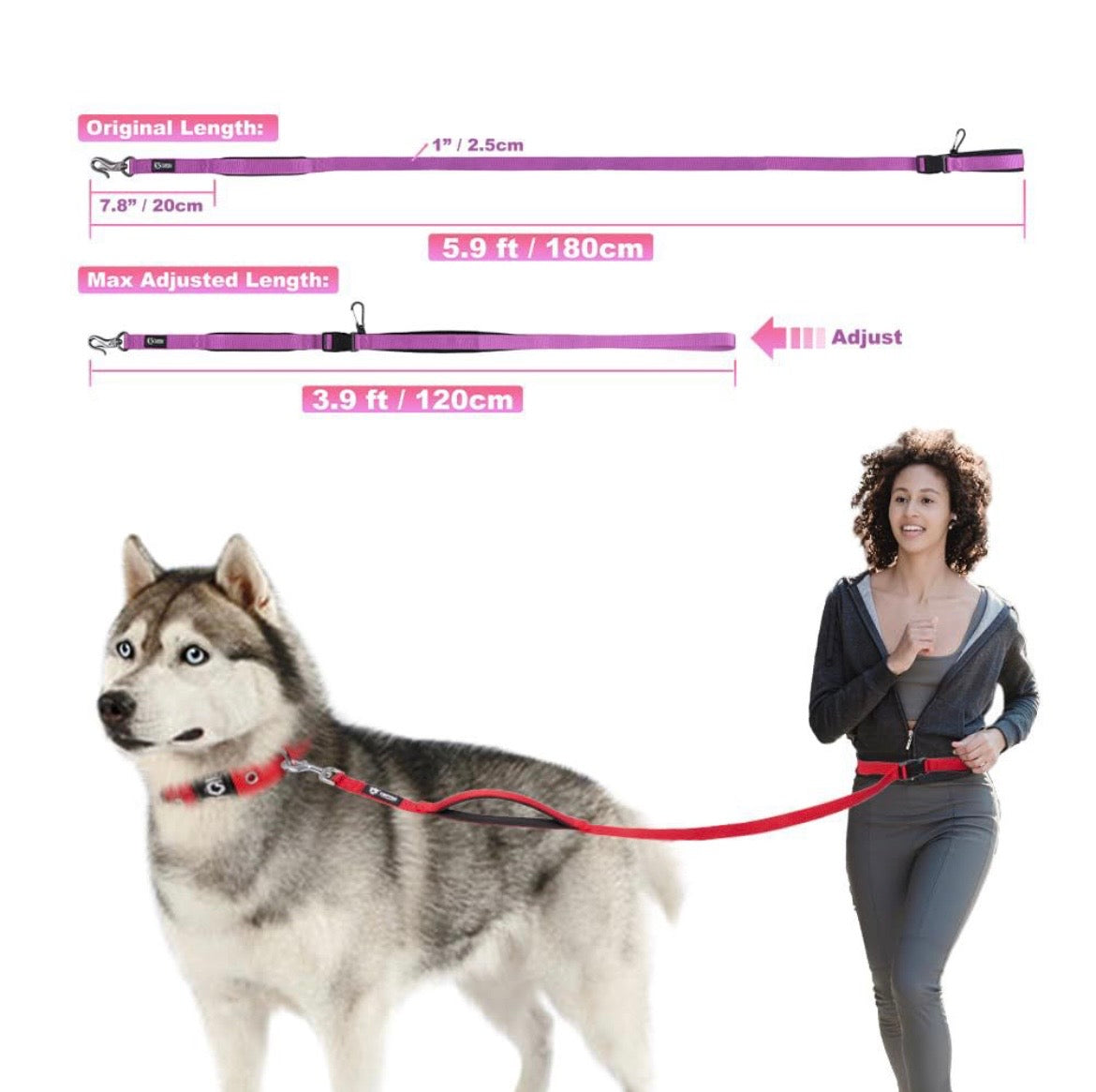 Dog leash with measurement details and a person walking a dog on a leash.
