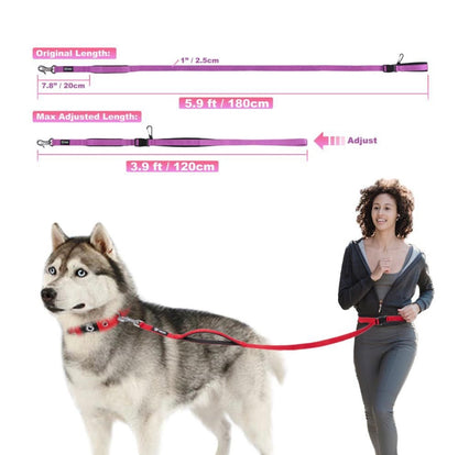 Dog leash with measurement details and a person walking a dog on a leash.