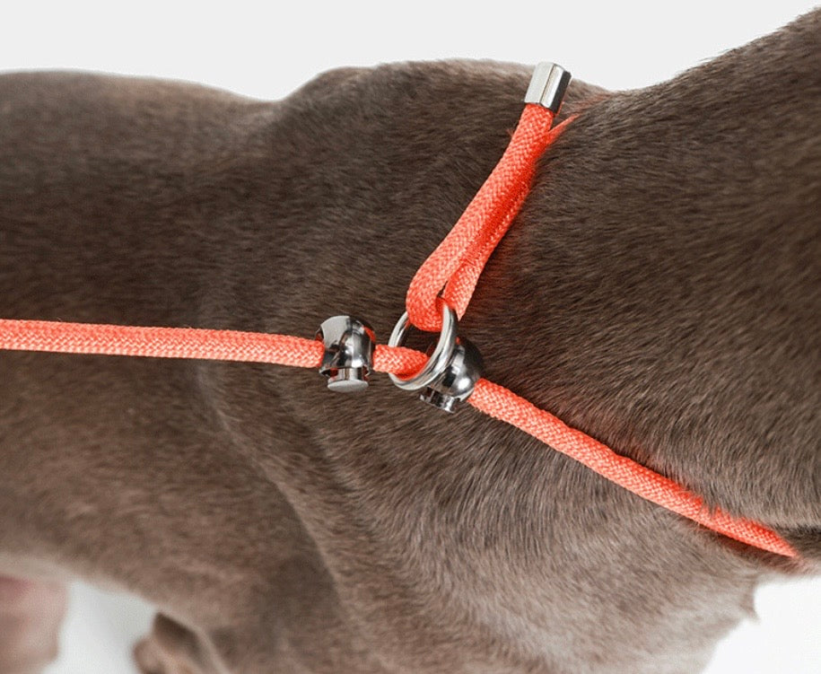 climbing rope dog slip lead with safety stop
