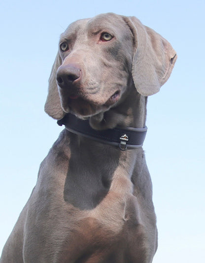 black soft padded reflective dog collar