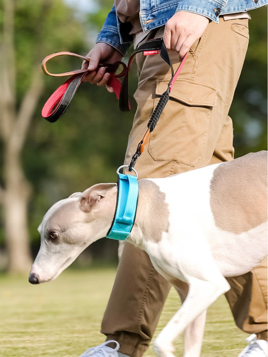 hands free hiking dog leash with bungee section