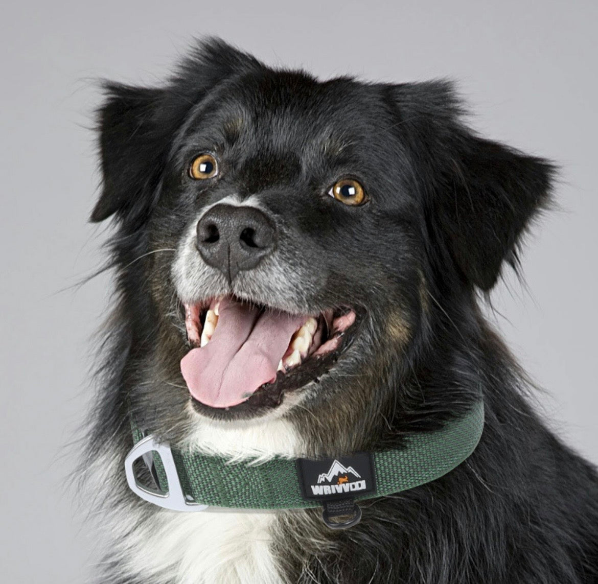 lightweight reflective dog collar