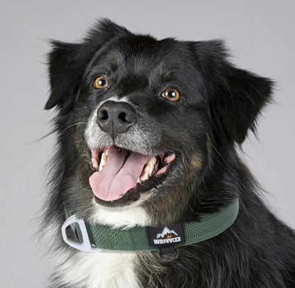 lightweight reflective dog collar