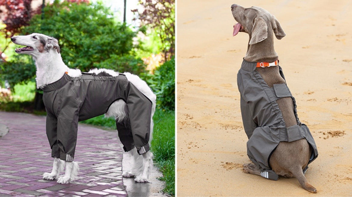 waterproof dog raincoat for outdoor adventures
