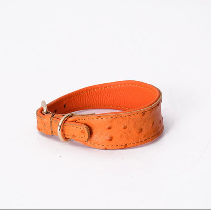 Heritage Leather Collar-Premium Wide Comfort Dog Collar