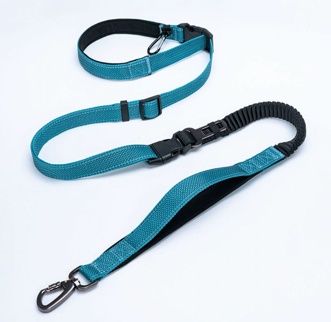 blue hands free running dog leash for active dogs