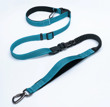 blue hands free running dog leash for active dogs