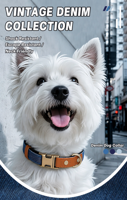 Urban Denim Collar-Comfortable Padded Dog Collar