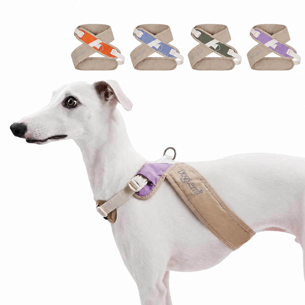 Explorer Lite Harness-Lightweight Waterproof No Pull Dog Harness